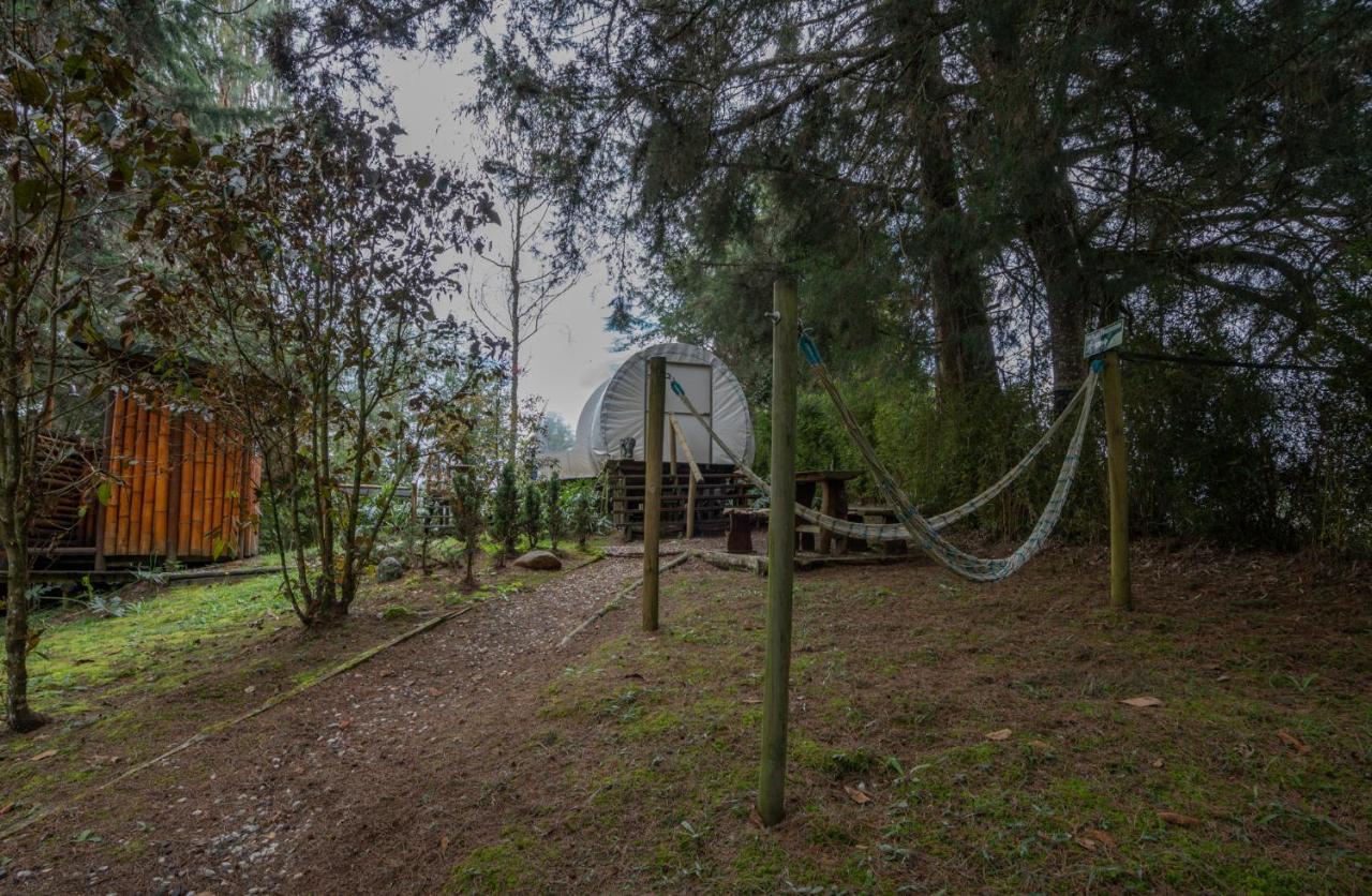 Bubblesky Glamping 40 Min From Medellin Hotel El Retiro  Exterior photo